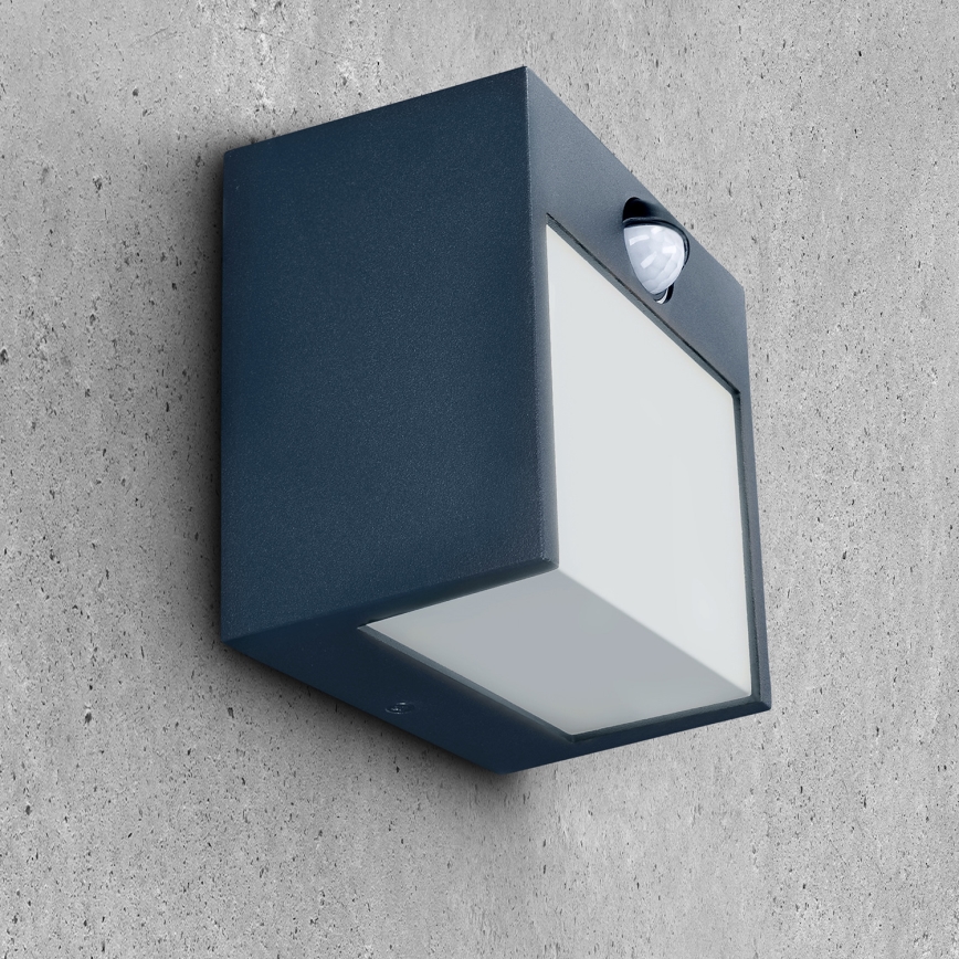 Brilagi - Светильник уличный настенный с датчиком TERNI LED/12W/230V антрацит IP44