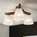 Brilagi - LED Накладна люстра ANTHONY 3xE14/40W/230V дуб горіх/білий