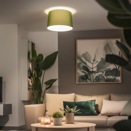 Brilagi - LED накладна люстра CERIA 1xE27/40W/230V діаметр 45 см зелена