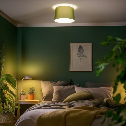 Brilagi - LED накладная люстра CERIA 1xE27/40W/230V диам. 45 см зелёная