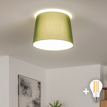 Brilagi - LED накладная люстра CERIA 1xE27/40W/230V Ø 30 см зеленая