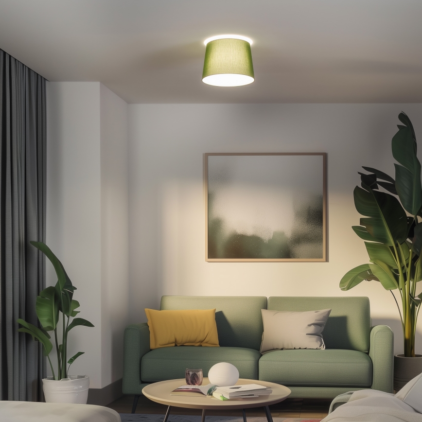 Brilagi - LED накладная люстра CERIA 1xE27/40W/230V Ø 30 см зеленая