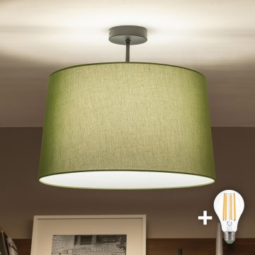 Brilagi - LED накладная люстра CERIA 1xE27/60W/230V, диаметр 45 см, черный/зеленый
