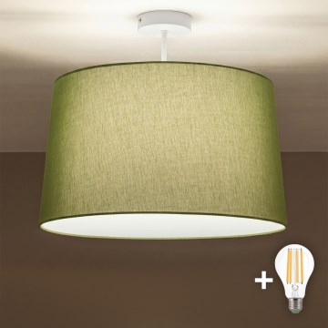 Brilagi - LED накладная люстра CERIA 1xE27/60W/230V Ø 45 см белая/зелёная