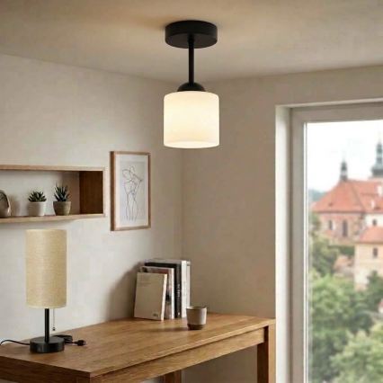 BRILAGI - LED накладная люстра RETRO GLASS 1xE27/60W/230V диам. 10 см черная/белая