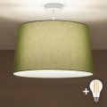 Brilagi - LED накладний стельовий світильник CERIA 1xE27/60W/230V Ø 45 см білий/зелений