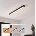Brilagi - LED накладной потолочный светильник FULLDAY LED/20/30/40 Вт/230 В 2700/4000/6000 К 120 см черный