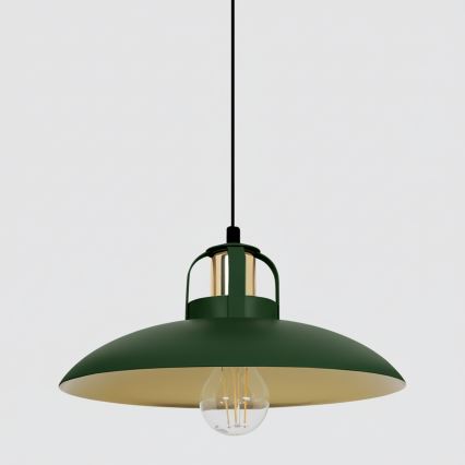 Brilagi - LED Підвісна люстра FLAMENGO 1xE27/60W/230V зелений