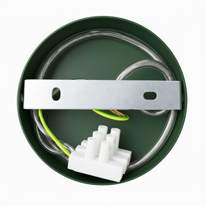 Brilagi - LED Підвісна люстра FLAMENGO 1xE27/60W/230V зелений