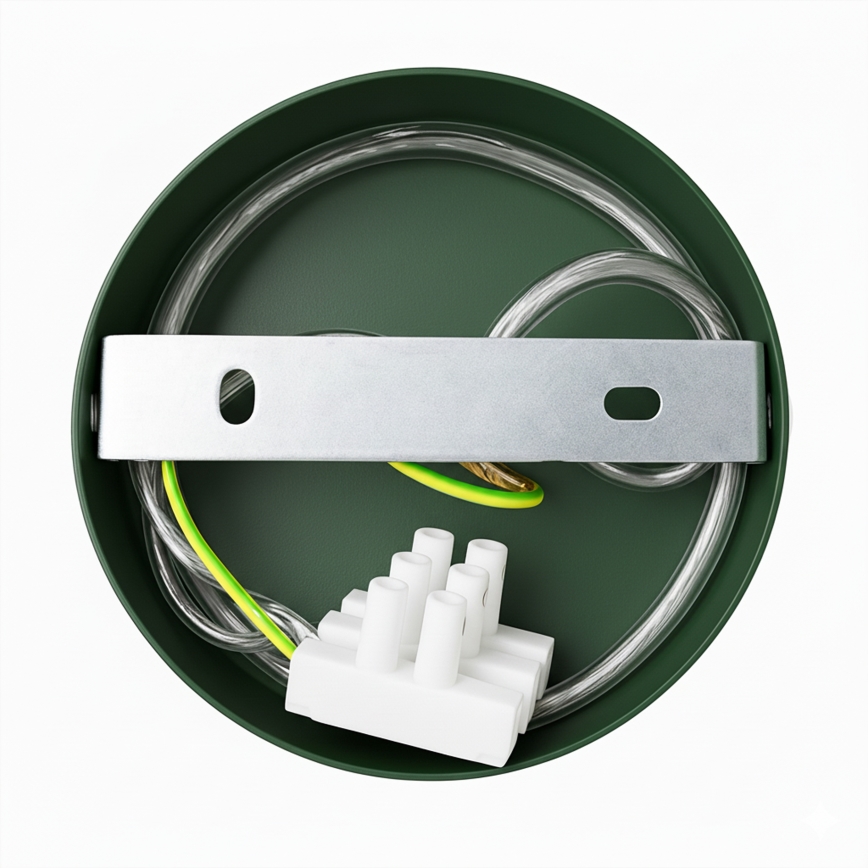 Brilagi - LED Підвісна люстра FLAMENGO 1xE27/60W/230V зелений