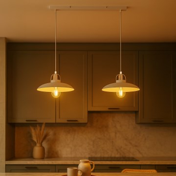 Brilagi - LED Підвісна люстра FLAMENGO 2xE27/60W/230V білий