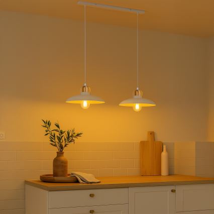 Brilagi - LED Підвісна люстра FLAMENGO 2xE27/60W/230V білий