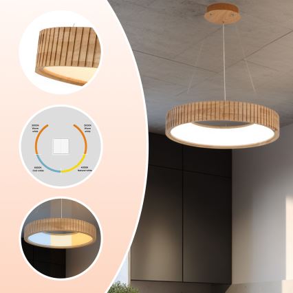 Brilagi - LED-люстра на тросі FALCON WOOD MODERN LED/30W/230V 3000/4000/6000K, діаметр 45 см, дерев'яна