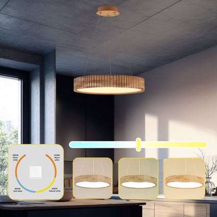 Brilagi - LED-люстра на тросі FALCON WOOD MODERN LED/30W/230V 3000/4000/6000K, діаметр 45 см, дерев'яна