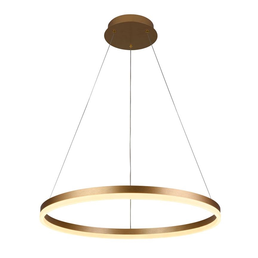 Brilagi - LED-люстра з регулюванням яскравості на тросі CIRCLE LED/42W/230V 3000-6500K, діаметр 60 см + пульт дистанційного керування