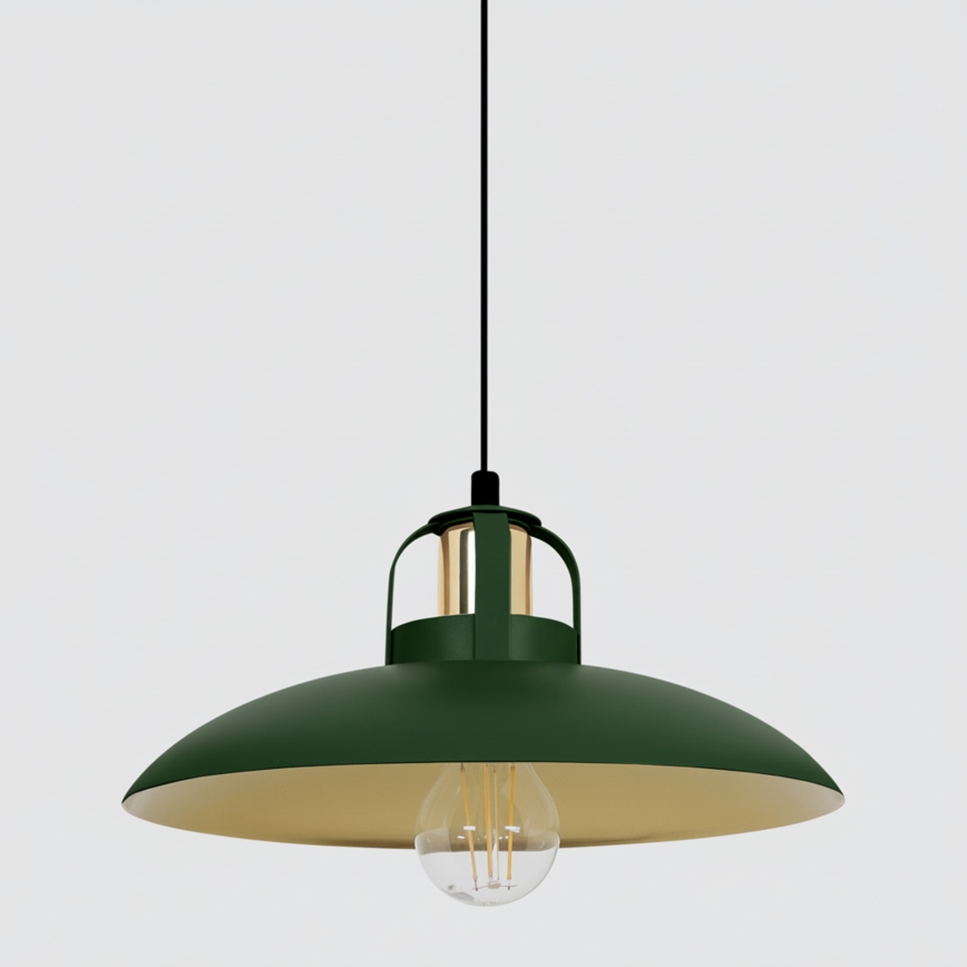 Brilagi - LED Подвесная люстра FLAMENGO 1xE27/60W/230V зеленый