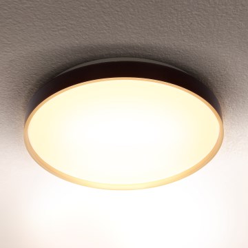 Brilagi - LED потолочный светильник CALA LED/24W/230V Ø 29,5 см