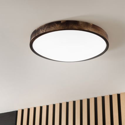 Brilagi - LED потолочный светильник CARVALHO SLIM SMOKEY LED/36W/230V, дуб, диаметр 47,5 см