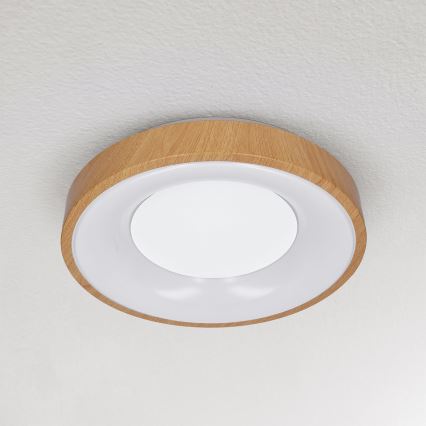 Brilagi - LED потолочный светильник DORIA LED/24W/230V Ø 28,5 см
