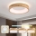Brilagi - LED потолочный светильник FALCON WOOD LED/30W/230V 3000/4000/6000K диаметр 45 см, дерево