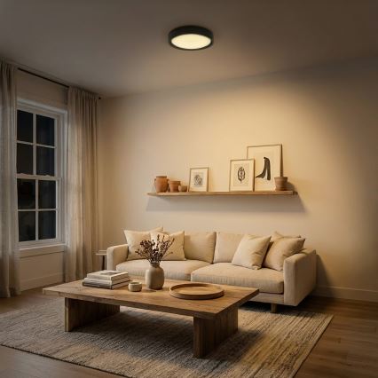 Brilagi - LED-потолочный светильник MATTEO LED/24 Вт/230 В, диаметр 31 см, черный