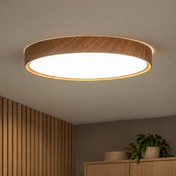 BRILAGI - LED потолочный светильник NATURA, 24 Вт, 230 В, 4000 К, диаметр 38,3 см