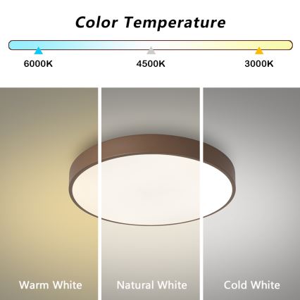 Brilagi - LED-потолочный светильник POOL LED/36W/230V 3000/4000/6000K диаметр 30 см, коричневый