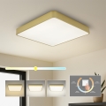 Brilagi - LED потолочный светильник POOL LED/36W/230V 3000/4000/6000K 40x40 cm золотистый