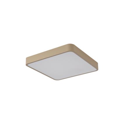 Brilagi - LED потолочный светильник POOL LED/36W/230V 3000/4000/6000K 40x40 см бежевый