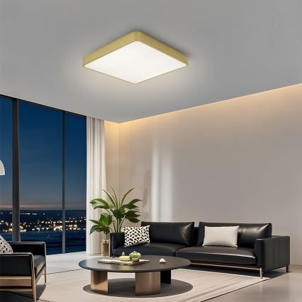 Brilagi - LED потолочный светильник POOL LED/36W/230V 3000/4500/6000K 40x40 cm золотистый