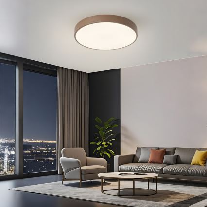 Brilagi - потолочный светильник LED POOL, 60 Вт/230 В, 3000/4000/6000 К, диаметр 50 см, коричневый