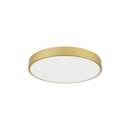 Brilagi - LED потолочный светильник POOL LED/60W/230V 3000/4000/6000K диам. 60 см, золотой