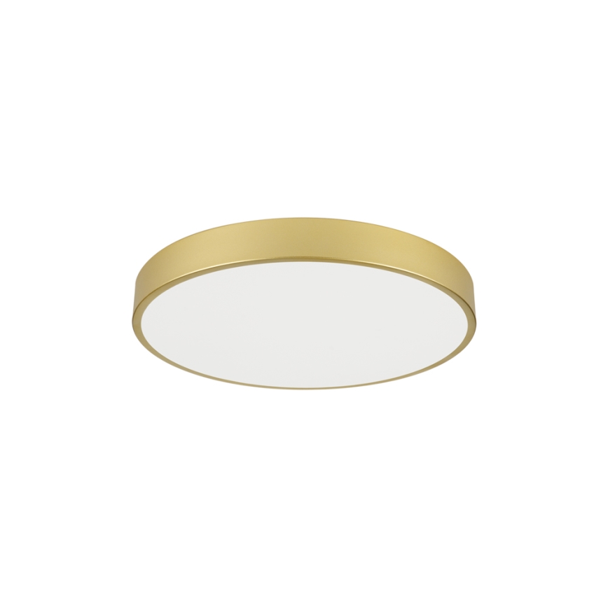 Brilagi - LED потолочный светильник POOL LED/60W/230V 3000/4000/6000K диам. 60 см, золотой