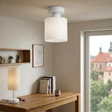 BRILAGI - LED потолочный светильник RETRO GLASS 1xE27/60W/230V диаметр 10 см белый