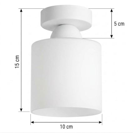 BRILAGI - LED потолочный светильник RETRO GLASS 1xE27/60W/230V диаметр 10 см белый