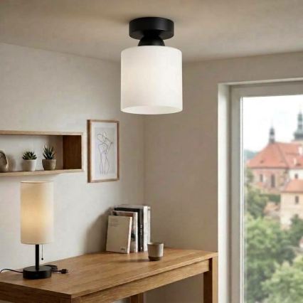 BRILAGI - LED Потолочный светильник RETRO GLASS 1xE27/60W/230V Ø 10 см черный/белый