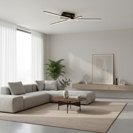 Brilagi - светодиодный потолочный светильник STRIPES LED/30W/230V 51x78 см, чёрный