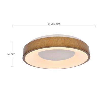 Brilagi - LED потолочный светильник DORIA LED/24W/230V Ø 28,5 см