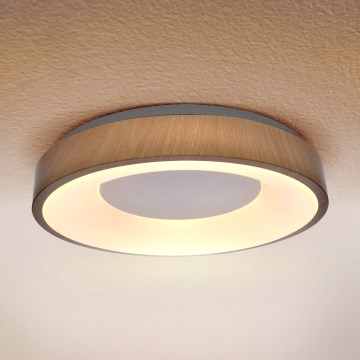 Brilagi - LED потолочный светильник DORIA LED/24W/230V Ø 28,5 см