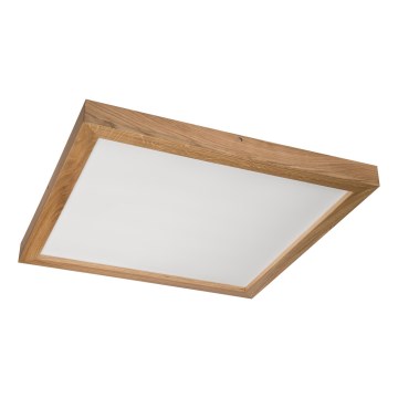 Brilagi - LED Потолочный светильник WOODY FRAME LED/50W/230V 60x60 cm IP44 дуб
