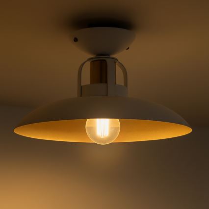 Brilagi - LED Припотолочная люстра FLAMENGO 1xE27/60W/230V белый