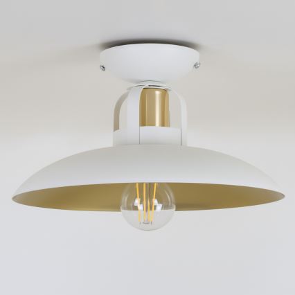 Brilagi - LED Припотолочная люстра FLAMENGO 1xE27/60W/230V белый