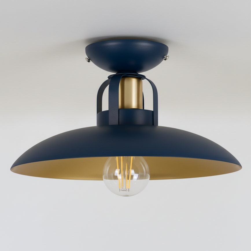 Brilagi - LED Припотолочная люстра FLAMENGO 1xE27/60W/230V синий