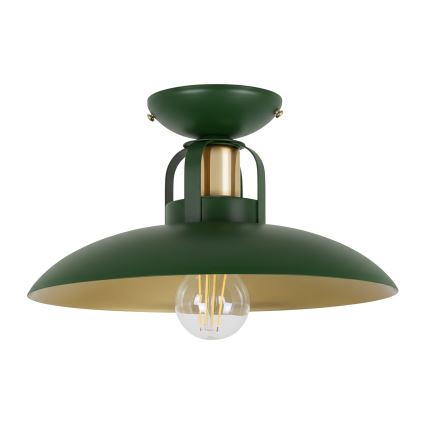 Brilagi - LED Припотолочная люстра FLAMENGO 1xE27/60W/230V зеленый