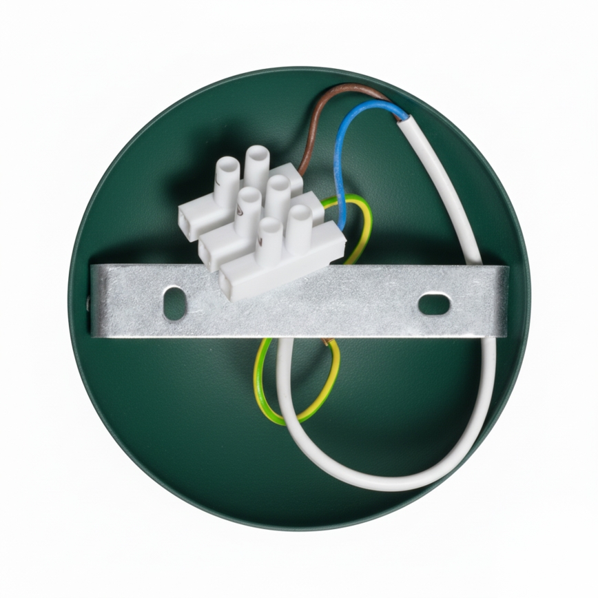 Brilagi - LED Припотолочная люстра FLAMENGO 1xE27/60W/230V зеленый