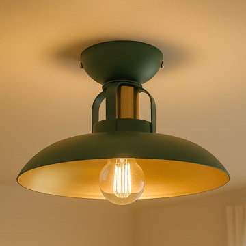 Brilagi - LED Пристельова люстра FLAMENGO 1xE27/60W/230V зелений