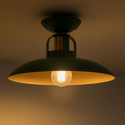 Brilagi - LED Пристельова люстра FLAMENGO 1xE27/60W/230V зелений