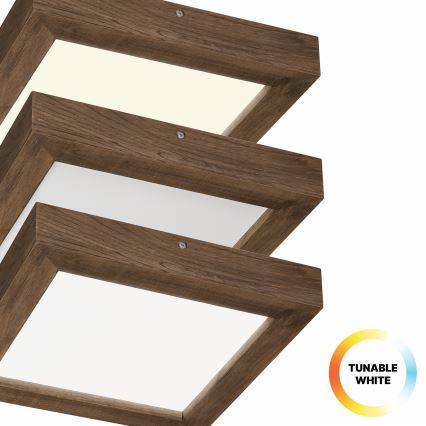 Brilagi - Светодиодный регулируемый потолочный светильник для ванной WOODY FRAME LED/24W/230V дуб орех 30x30 см 3000-6000K IP44 + дистанционное управление
