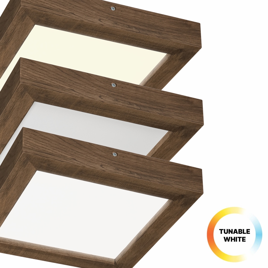 Brilagi - Светодиодный регулируемый потолочный светильник для ванной WOODY FRAME LED/24W/230V дуб орех 30x30 см 3000-6000K IP44 + дистанционное управление