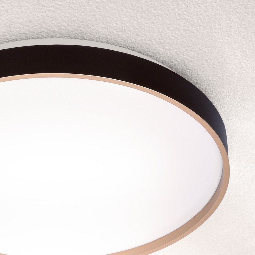 Brilagi - Світлодіодний регульований стельовий світильник CALA LED/48W/230V 3000-6500K діам. 38 см + дистанційне керування